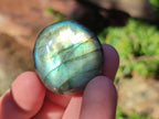 Polished Mini Labradorite Galets x 46 From Madagascar - Toprock Gemstones and Minerals 