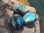 Polished Mini Labradorite Galets x 46 From Madagascar - Toprock Gemstones and Minerals 