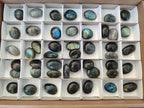 Polished Mini Labradorite Galets x 46 From Madagascar - Toprock Gemstones and Minerals 