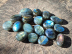 Polished Mini Labradorite Galets x 46 From Madagascar - Toprock Gemstones and Minerals 