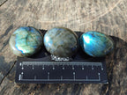 Polished Mini Labradorite Galets x 46 From Madagascar - Toprock Gemstones and Minerals 