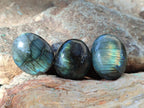 Polished Mini Labradorite Galets x 46 From Madagascar - Toprock Gemstones and Minerals 