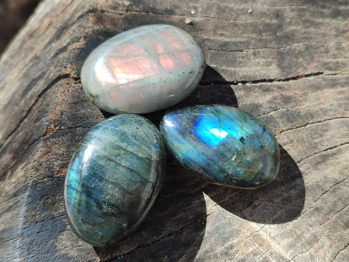 Polished Mini Labradorite Galets x 46 From Madagascar - Toprock Gemstones and Minerals 