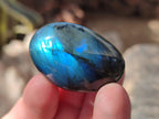 Polished Mini Labradorite Galets x 46 From Madagascar - Toprock Gemstones and Minerals 