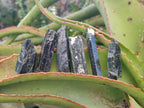 Natural Aegirine Crystals x 70 From Zomba, Malawi - Toprock Gemstones and Minerals 