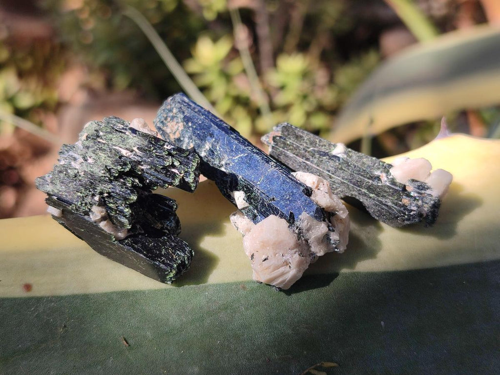 Natural Aegirine Crystals x 70 From Zomba, Malawi - Toprock Gemstones and Minerals 