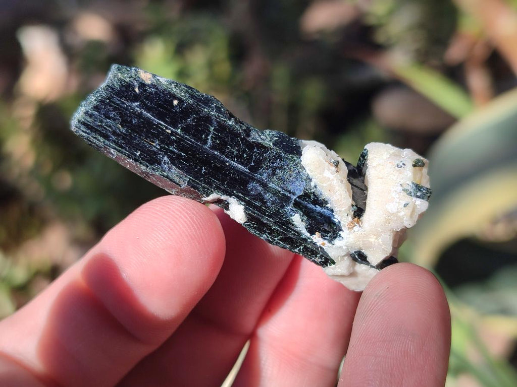 Natural Aegirine Crystals x 70 From Zomba, Malawi - Toprock Gemstones and Minerals 