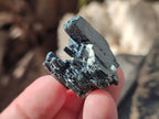 Natural Aegirine Crystals x 70 From Zomba, Malawi - Toprock Gemstones and Minerals 