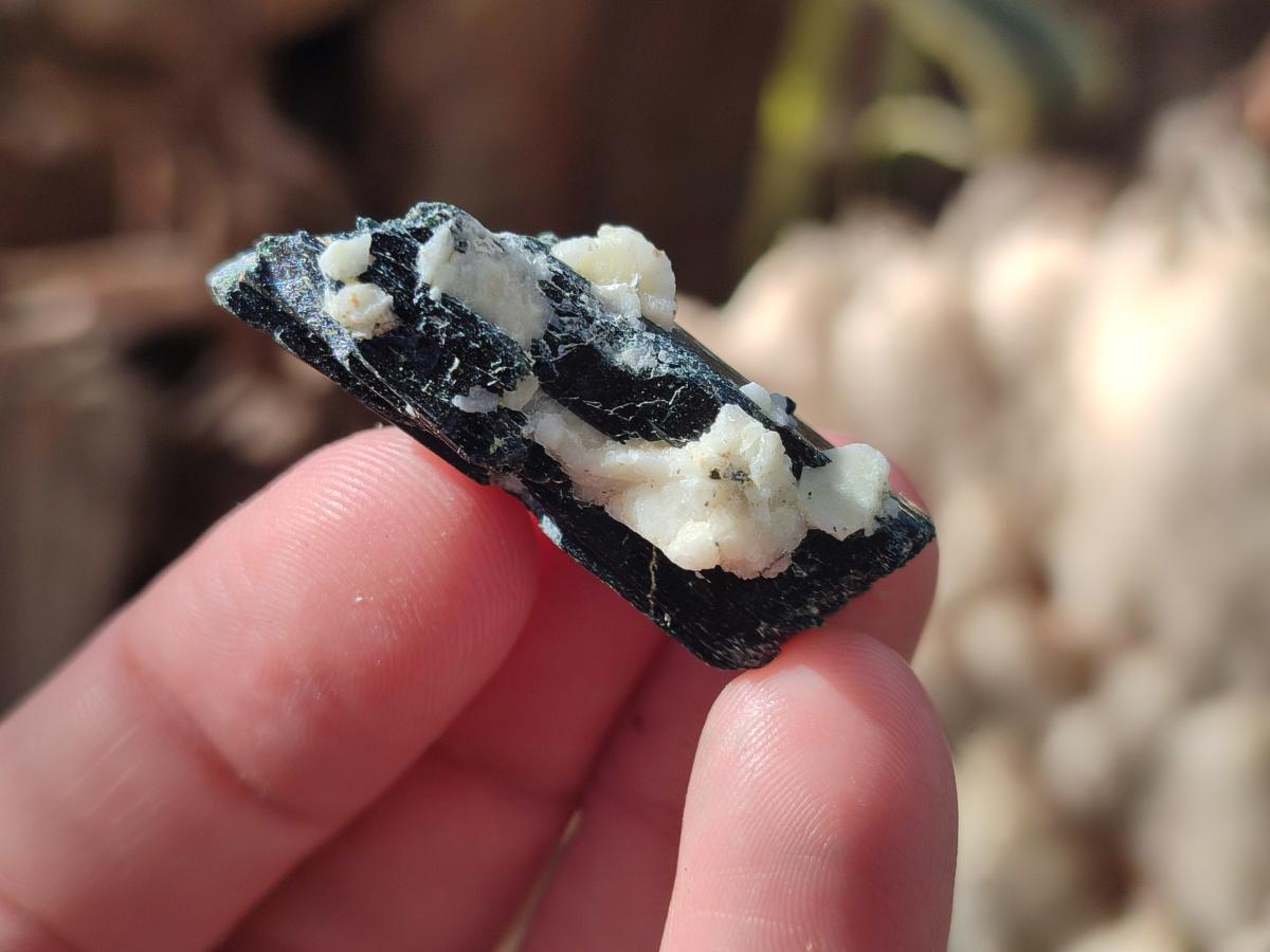 Natural Aegirine Crystals x 70 From Zomba, Malawi - Toprock Gemstones and Minerals 