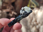 Natural Aegirine Crystals x 70 From Zomba, Malawi - Toprock Gemstones and Minerals 