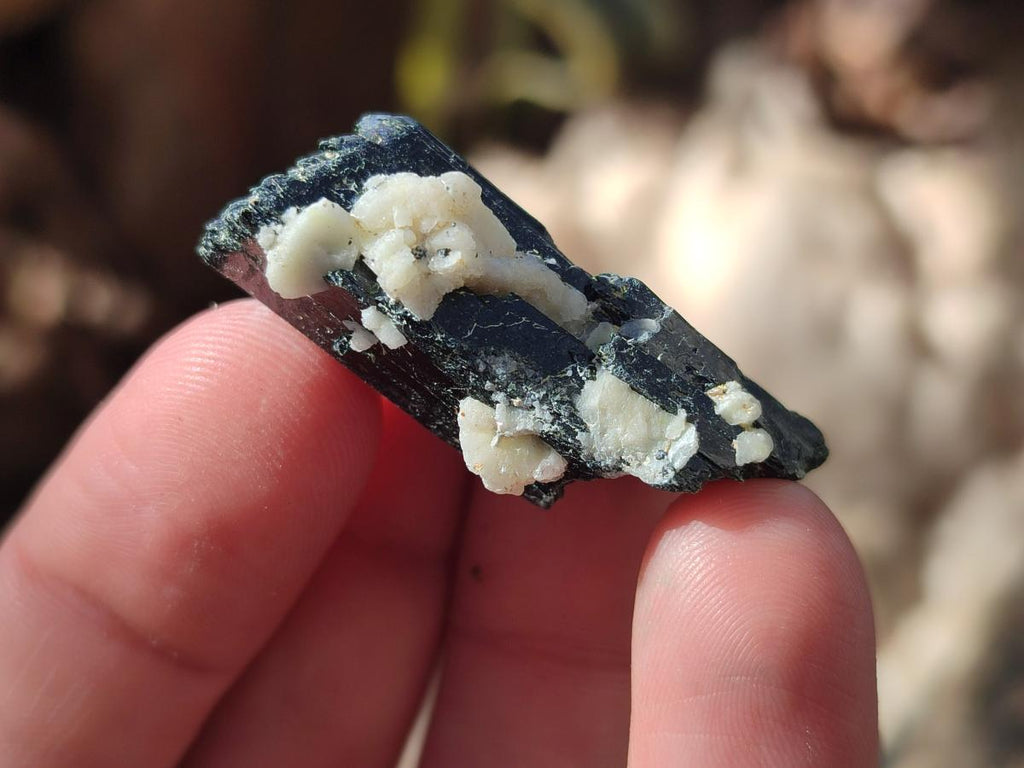 Natural Aegirine Crystals x 70 From Zomba, Malawi - Toprock Gemstones and Minerals 