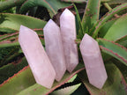 Polished Double Terminated Gemmy Rose Quartz Crystals x 12 From Madagascar - Toprock Gemstones and Minerals 