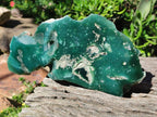 Polished On One Side Mtorolite Chrysoprase Plates x 2 From Mutorashanga, Zimbabwe - Toprock Gemstones and Minerals 
