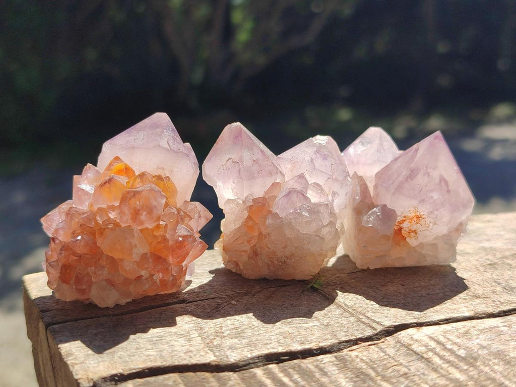 Natural Sunburst Spirit Amethyst Single Crystals x 20 From Boekenhouthoek, South Africa - Toprock Gemstones and Minerals 