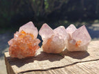 Natural Sunburst Spirit Amethyst Single Crystals x 20 From Boekenhouthoek, South Africa - Toprock Gemstones and Minerals 