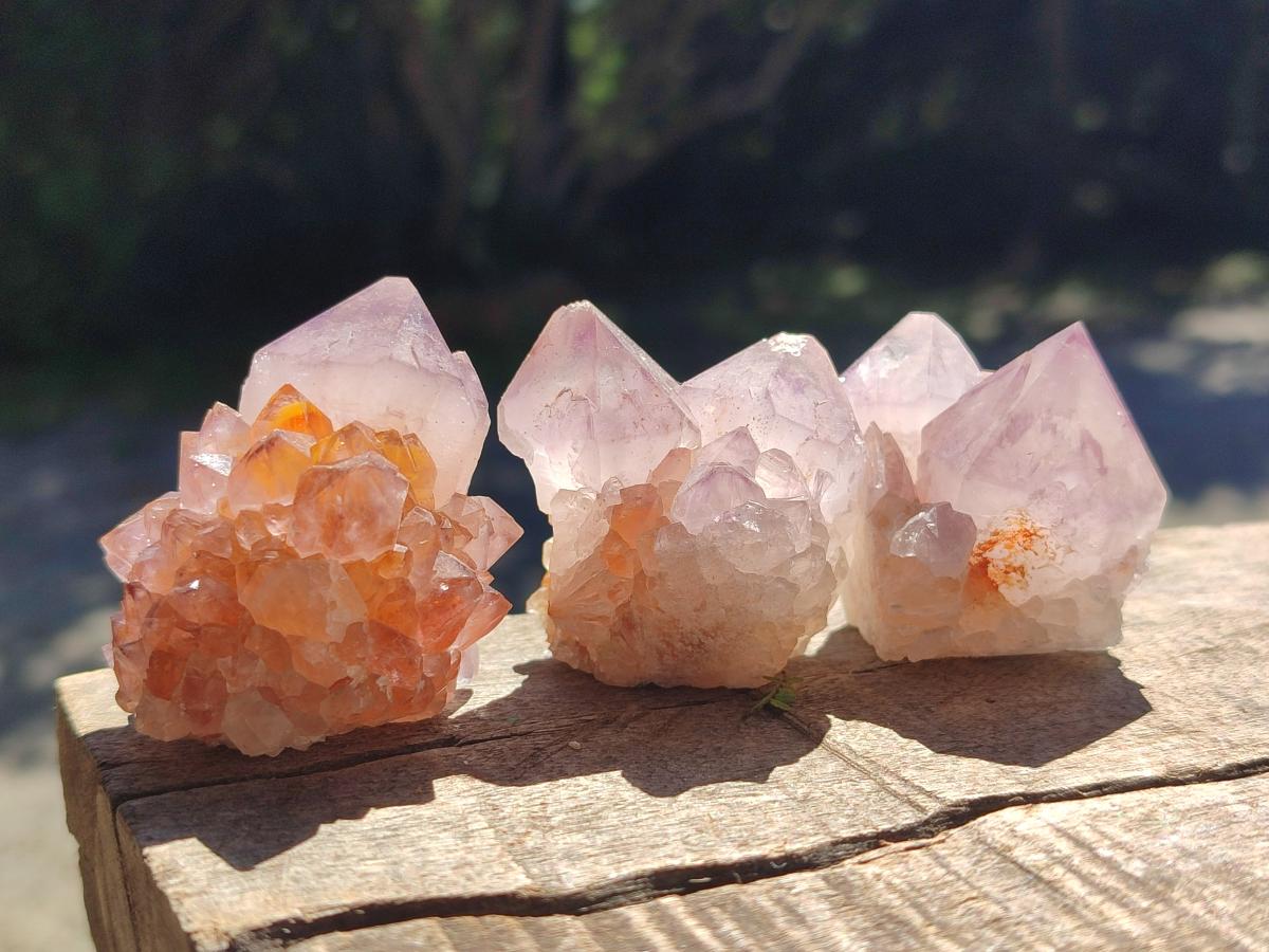 Natural Sunburst Spirit Amethyst Single Crystals x 20 From Boekenhouthoek, South Africa - Toprock Gemstones and Minerals 