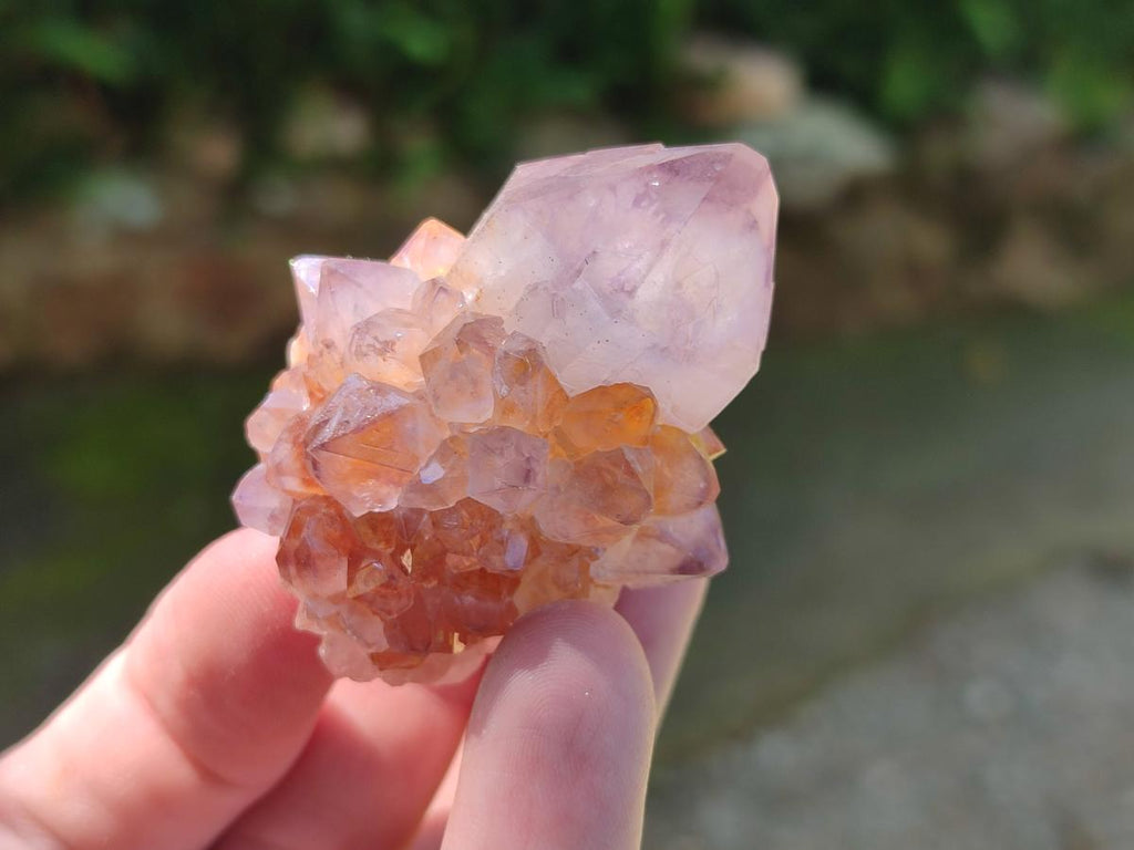 Natural Sunburst Spirit Amethyst Single Crystals x 20 From Boekenhouthoek, South Africa - Toprock Gemstones and Minerals 