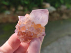 Natural Sunburst Spirit Amethyst Single Crystals x 20 From Boekenhouthoek, South Africa - Toprock Gemstones and Minerals 