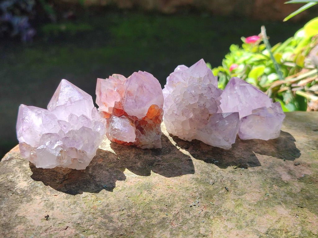 Natural Sunburst Spirit Amethyst Single Crystals x 20 From Boekenhouthoek, South Africa - Toprock Gemstones and Minerals 