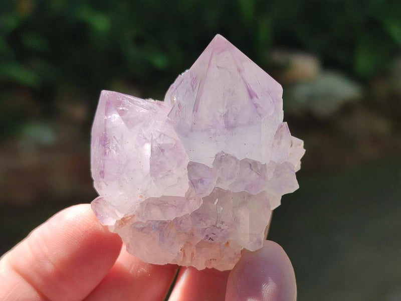 Natural Sunburst Spirit Amethyst Single Crystals x 20 From Boekenhouthoek, South Africa - Toprock Gemstones and Minerals 