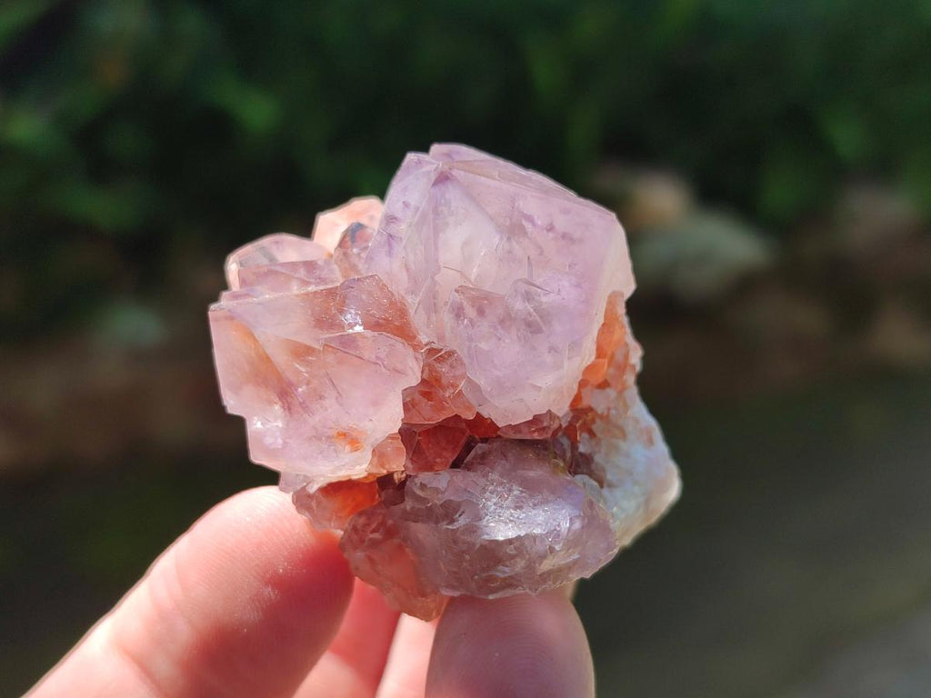 Natural Sunburst Spirit Amethyst Single Crystals x 20 From Boekenhouthoek, South Africa - Toprock Gemstones and Minerals 