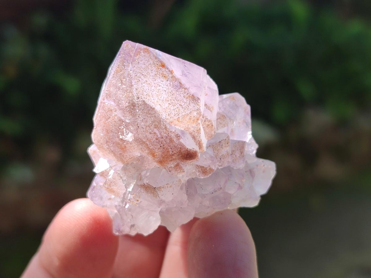 Natural Sunburst Spirit Amethyst Single Crystals x 20 From Boekenhouthoek, South Africa - Toprock Gemstones and Minerals 