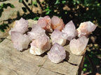 Natural Sunburst Spirit Amethyst Single Crystals x 20 From Boekenhouthoek, South Africa - Toprock Gemstones and Minerals 
