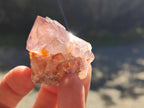 Natural Sunburst Spirit Amethyst Single Crystals x 20 From Boekenhouthoek, South Africa - Toprock Gemstones and Minerals 