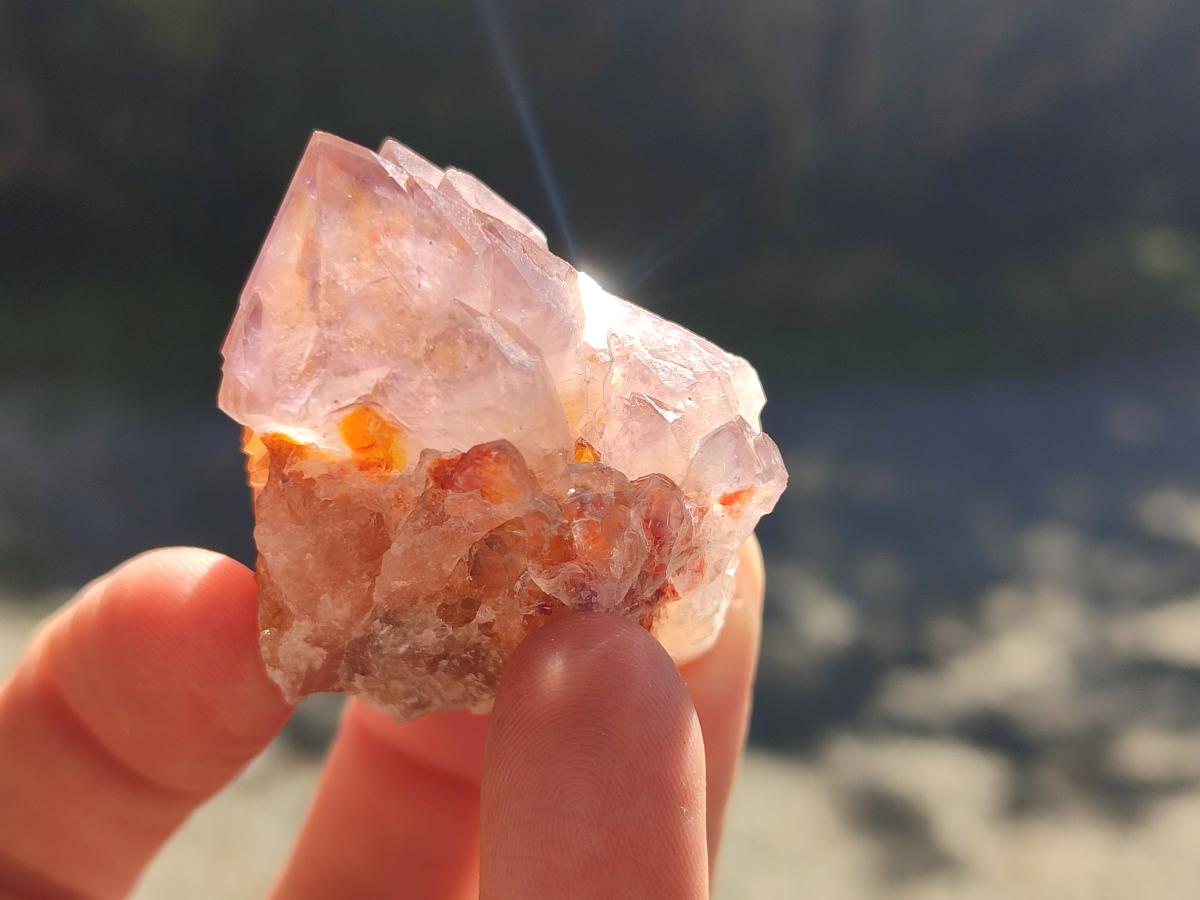 Natural Sunburst Spirit Amethyst Single Crystals x 20 From Boekenhouthoek, South Africa - Toprock Gemstones and Minerals 