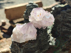 Natural Sunburst Spirit Amethyst Single Crystals x 20 From Boekenhouthoek, South Africa - Toprock Gemstones and Minerals 