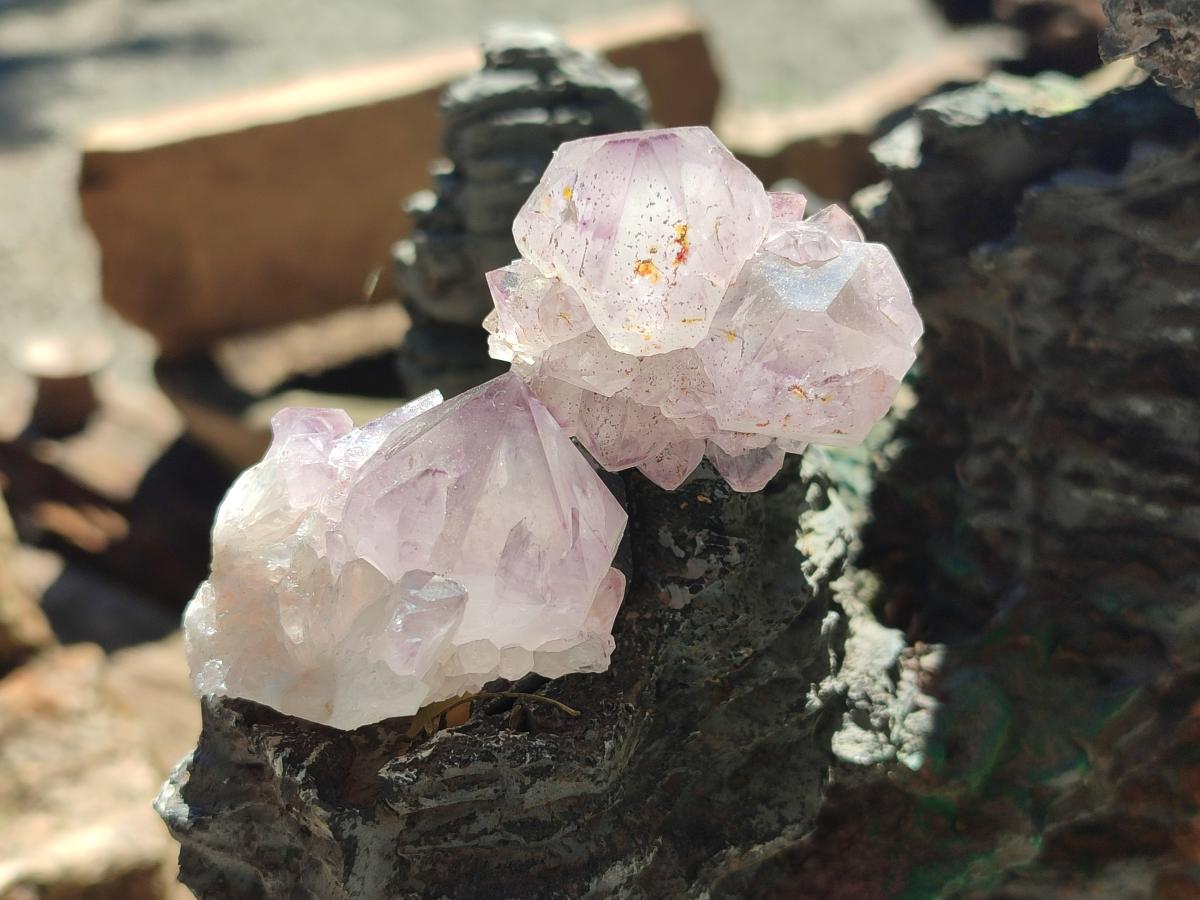 Natural Sunburst Spirit Amethyst Single Crystals x 20 From Boekenhouthoek, South Africa - Toprock Gemstones and Minerals 