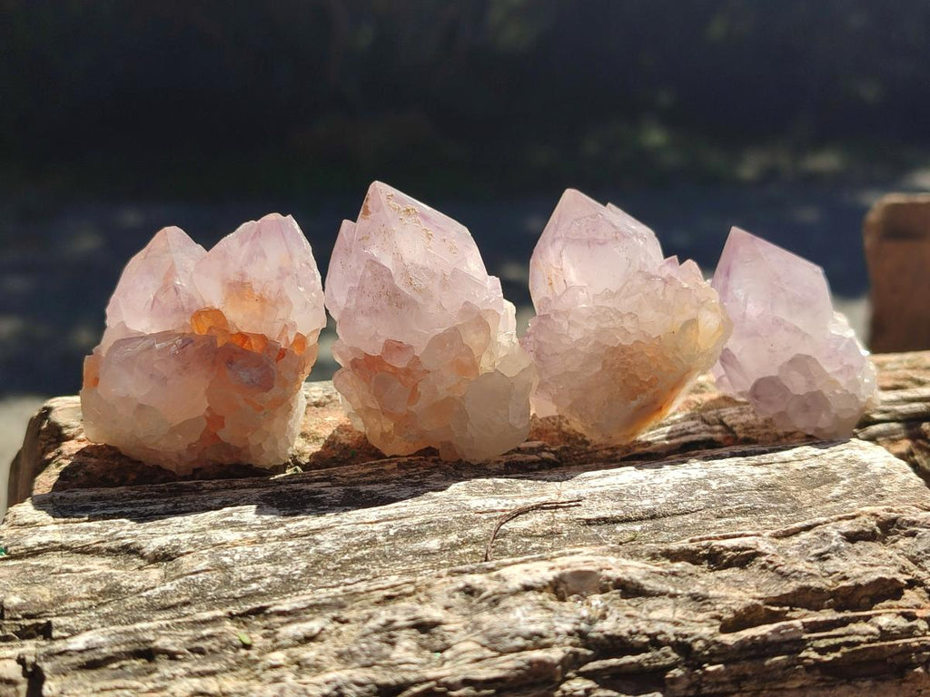 Natural Sunburst Spirit Amethyst Single Crystals x 20 From Boekenhouthoek, South Africa - Toprock Gemstones and Minerals 