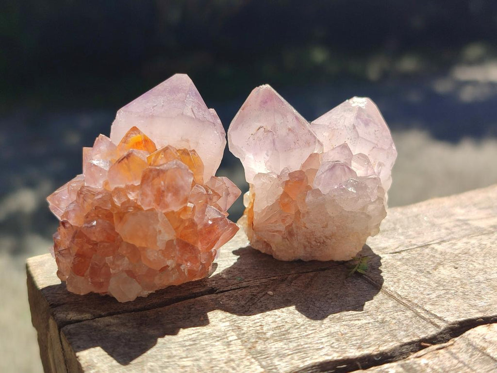 Natural Sunburst Spirit Amethyst Single Crystals x 20 From Boekenhouthoek, South Africa - Toprock Gemstones and Minerals 