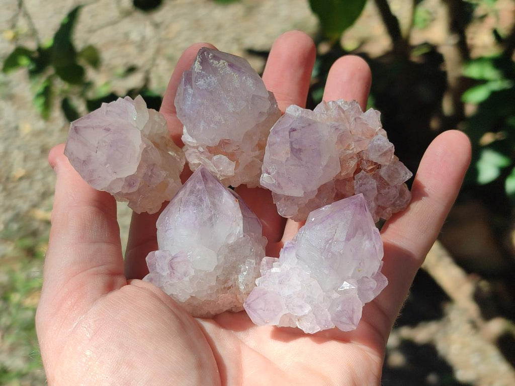 Natural Sunburst Spirit Amethyst Single Crystals x 20 From Boekenhouthoek, South Africa - Toprock Gemstones and Minerals 