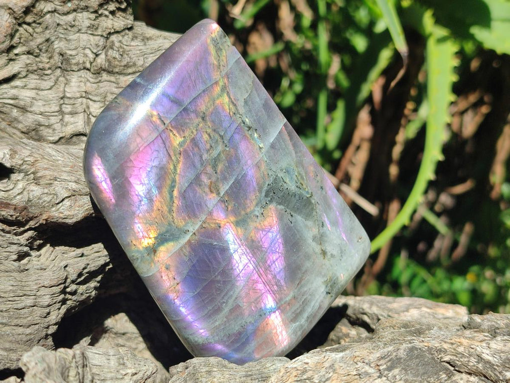 Polished Rare Purple Sunset Flash Labradorite Standing Free Forms x 4 From Madagascar - Toprock Gemstones and Minerals 