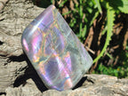 Polished Rare Purple Sunset Flash Labradorite Standing Free Forms x 4 From Madagascar - Toprock Gemstones and Minerals 