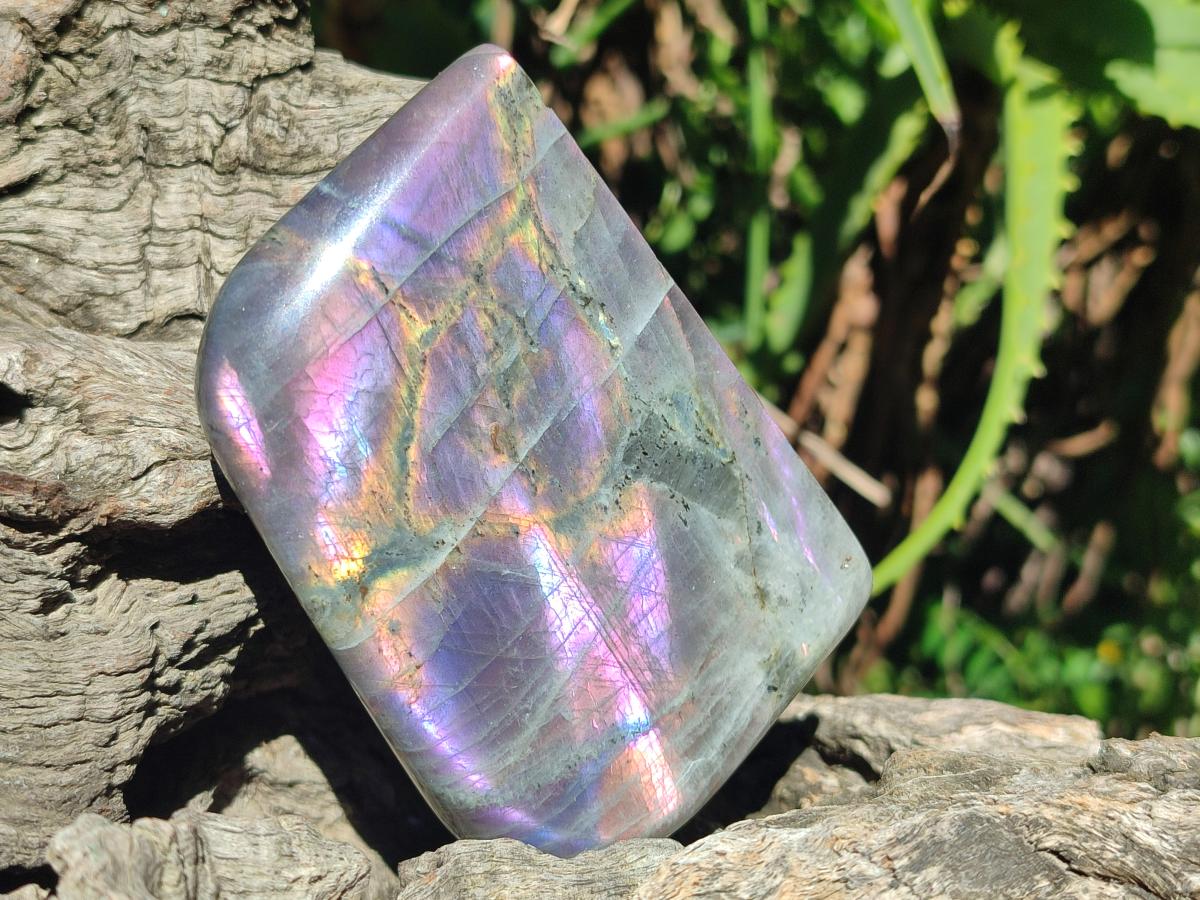 Polished Rare Purple Sunset Flash Labradorite Standing Free Forms x 4 From Madagascar - Toprock Gemstones and Minerals 
