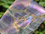 Polished Rare Purple Sunset Flash Labradorite Standing Free Forms x 4 From Madagascar - Toprock Gemstones and Minerals 