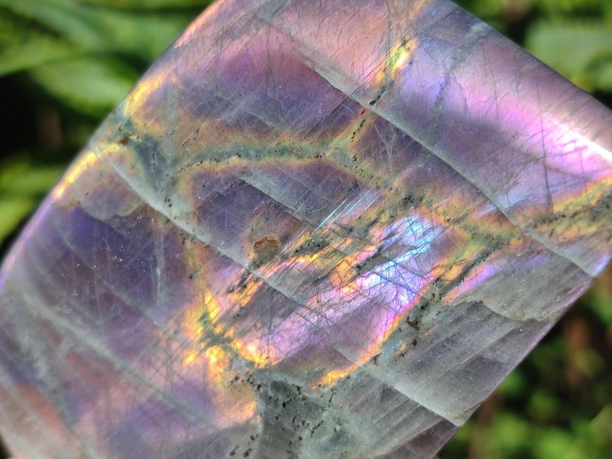 Polished Rare Purple Sunset Flash Labradorite Standing Free Forms x 4 From Madagascar - Toprock Gemstones and Minerals 