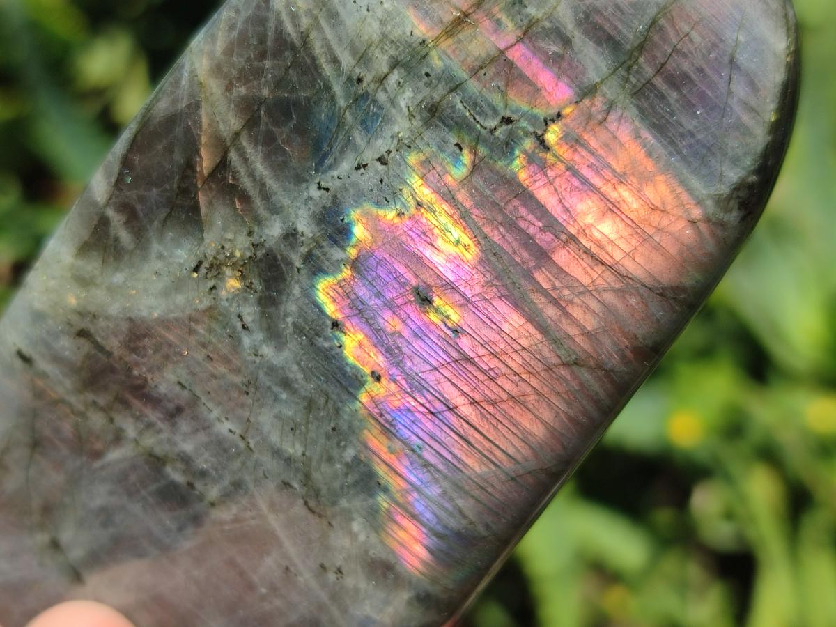 Polished Rare Purple Sunset Flash Labradorite Standing Free Forms x 4 From Madagascar - Toprock Gemstones and Minerals 