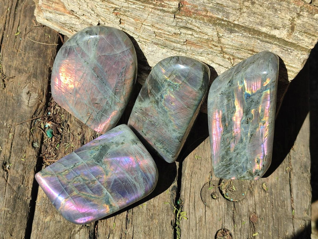 Polished Rare Purple Sunset Flash Labradorite Standing Free Forms x 4 From Madagascar - Toprock Gemstones and Minerals 