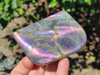 Polished Rare Purple Sunset Flash Labradorite Standing Free Forms x 4 From Madagascar - Toprock Gemstones and Minerals 