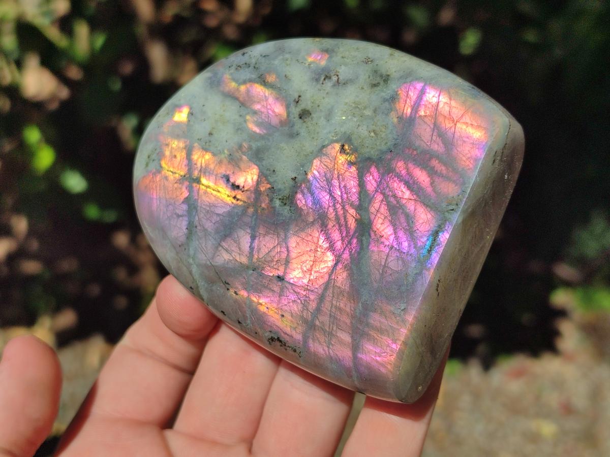Polished Rare Purple Sunset Flash Labradorite Standing Free Forms x 4 From Madagascar - Toprock Gemstones and Minerals 