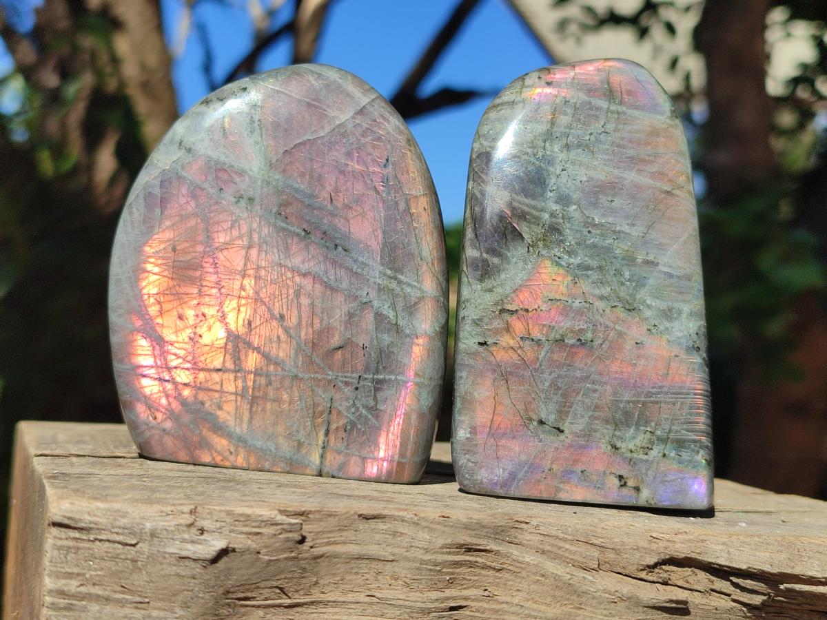 Polished Rare Purple Sunset Flash Labradorite Standing Free Forms x 4 From Madagascar - Toprock Gemstones and Minerals 