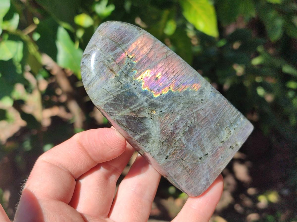 Polished Rare Purple Sunset Flash Labradorite Standing Free Forms x 4 From Madagascar - Toprock Gemstones and Minerals 