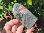 Polished Rare Purple Sunset Flash Labradorite Standing Free Forms x 4 From Madagascar - Toprock Gemstones and Minerals 