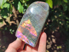 Polished Rare Purple Sunset Flash Labradorite Standing Free Forms x 4 From Madagascar - Toprock Gemstones and Minerals 