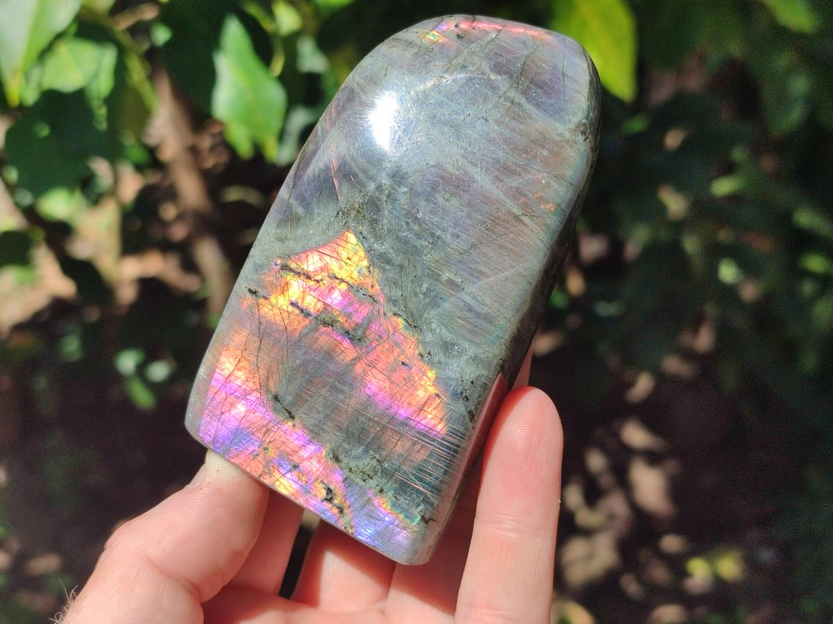 Polished Rare Purple Sunset Flash Labradorite Standing Free Forms x 4 From Madagascar - Toprock Gemstones and Minerals 