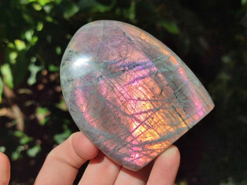 Polished Rare Purple Sunset Flash Labradorite Standing Free Forms x 4 From Madagascar - Toprock Gemstones and Minerals 