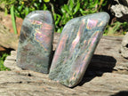 Polished Rare Purple Sunset Flash Labradorite Standing Free Forms x 4 From Madagascar - Toprock Gemstones and Minerals 